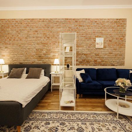 Jolie Flat In The Heart Of The City Тімішоара Екстер'єр фото