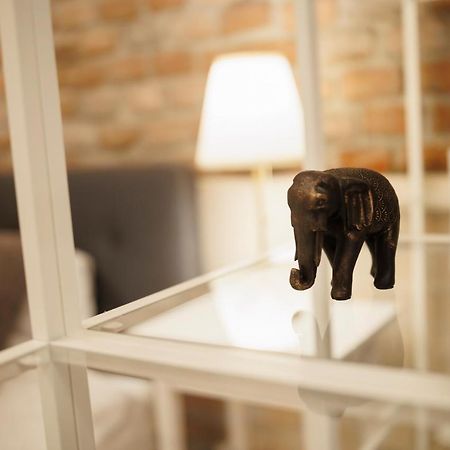Jolie Flat In The Heart Of The City Тімішоара Екстер'єр фото