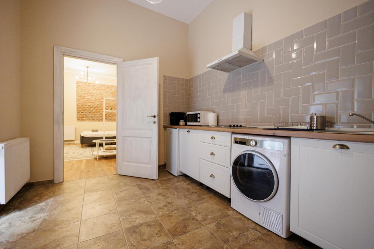 Jolie Flat In The Heart Of The City Тімішоара Екстер'єр фото