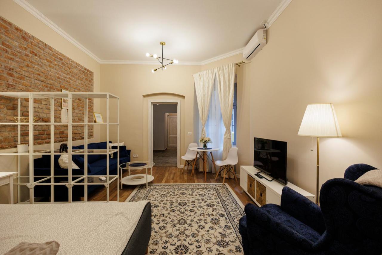 Jolie Flat In The Heart Of The City Тімішоара Екстер'єр фото